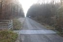Forêt de Bord